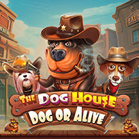 The Dog House – Dog or Alive icon